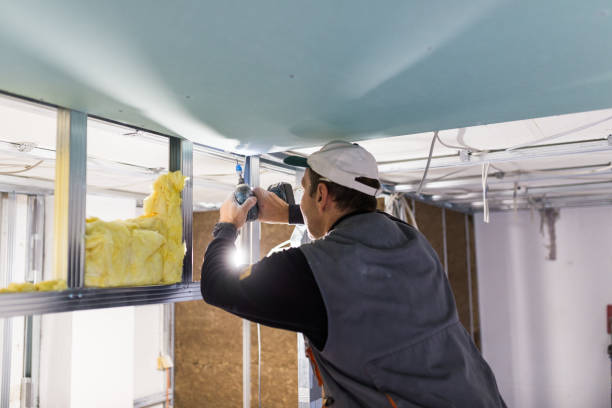 Insulation Inspection Services in Alexandria, KY