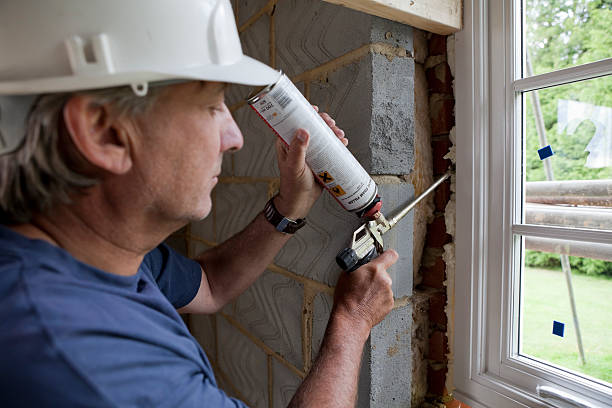 Best Insulation Contractors for Homes  in Alexandria, KY